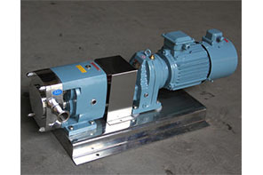 ¿Cómo limpiar la bomba de lóbulo sanitario?