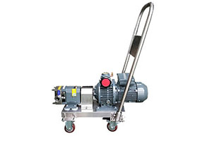 sanitary lobe pump.jpg