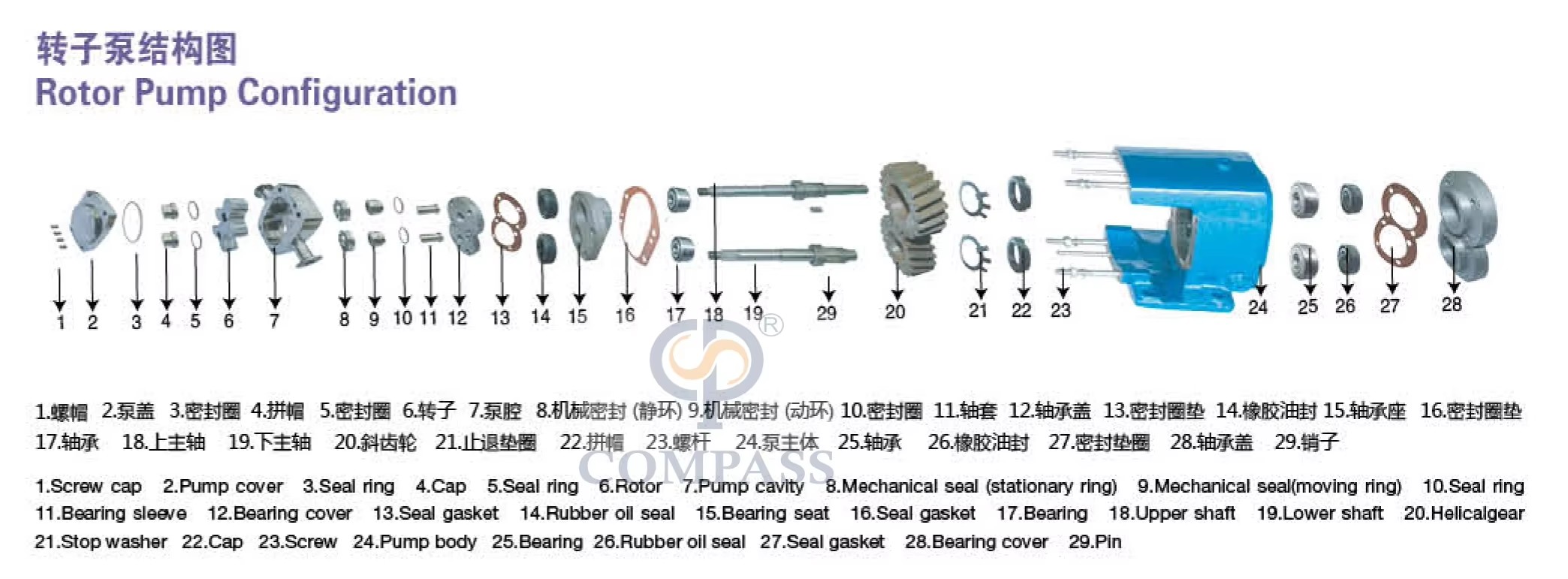 转子泵图纸1
