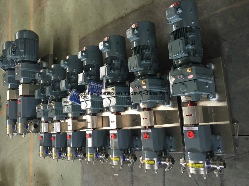 Bomba de rotor de rotor de doble ala de acero inoxidable 304 bomba de l&oacute;bulo rotativo