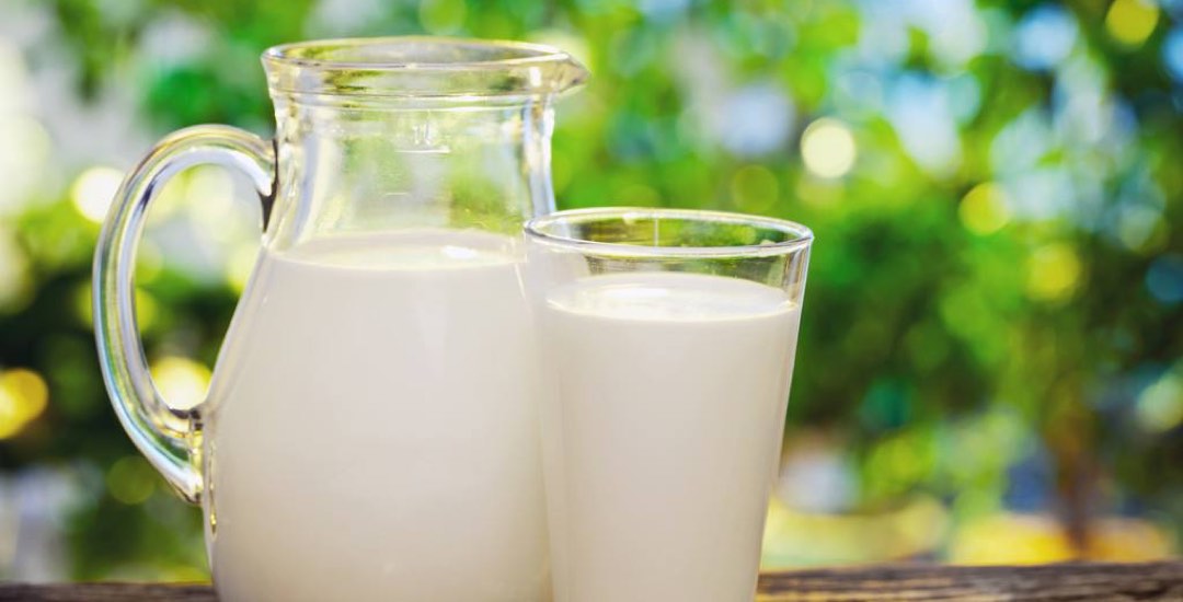 l&aacute;cteo de leche