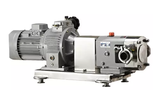 ¿Qué es la bomba lobular sanitaria 316L?