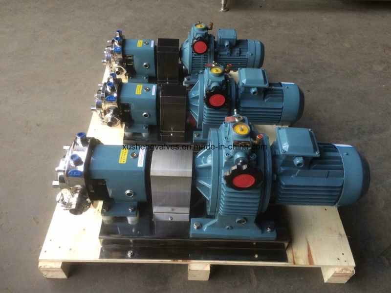 Bomba de rotor de rotor de doble ala de acero inoxidable 304 bomba de l&oacute;bulo rotativo