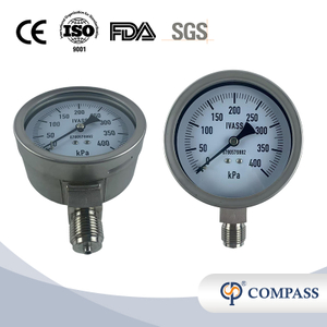 1/2 '-BSP de acero inoxidable SS304 Manguidor de presión del tallo radial 100 mm
