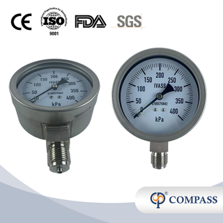 1/2 '-BSP de acero inoxidable SS304 Manguidor de presión del tallo radial 100 mm