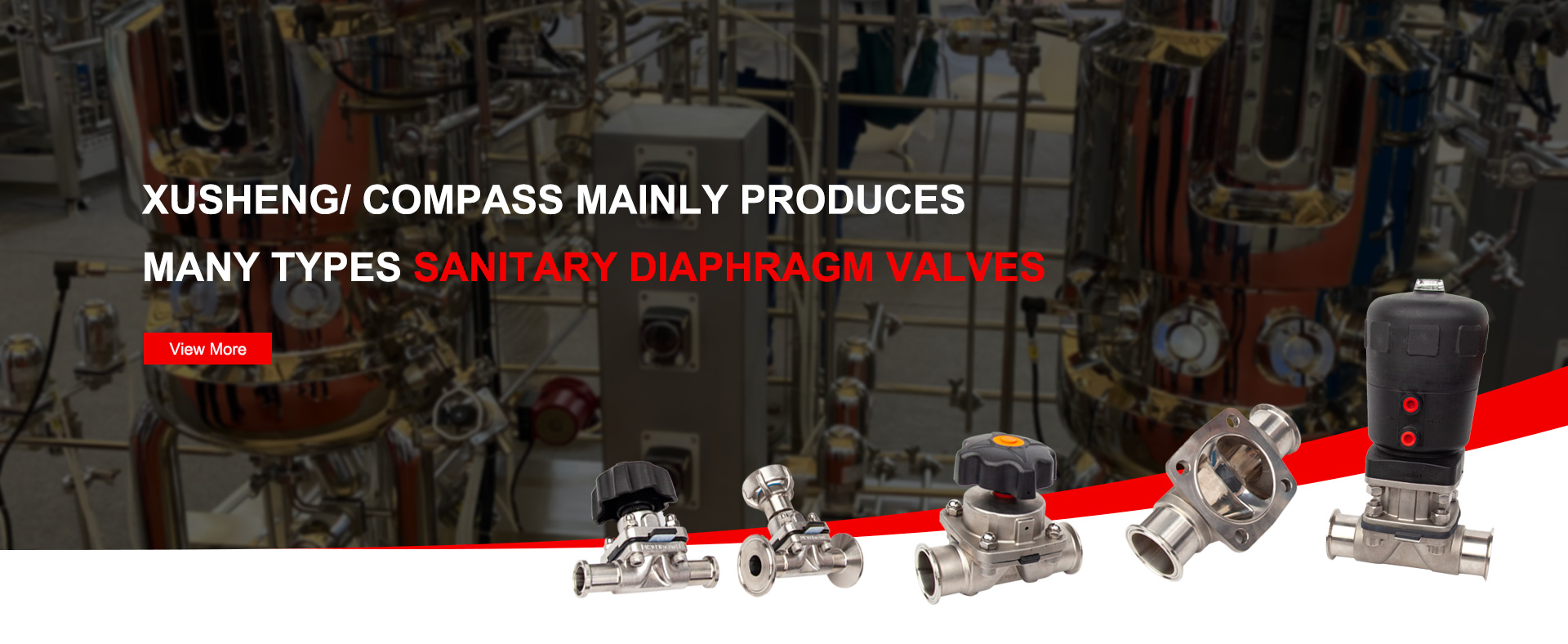 Sanitary Diaphragm Valves