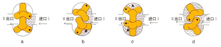Bomba de l&oacute;bulo de rotor de acero inoxidable sanitario